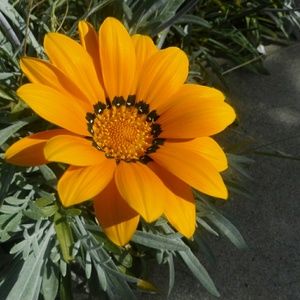 Meet your Posher, Destiny